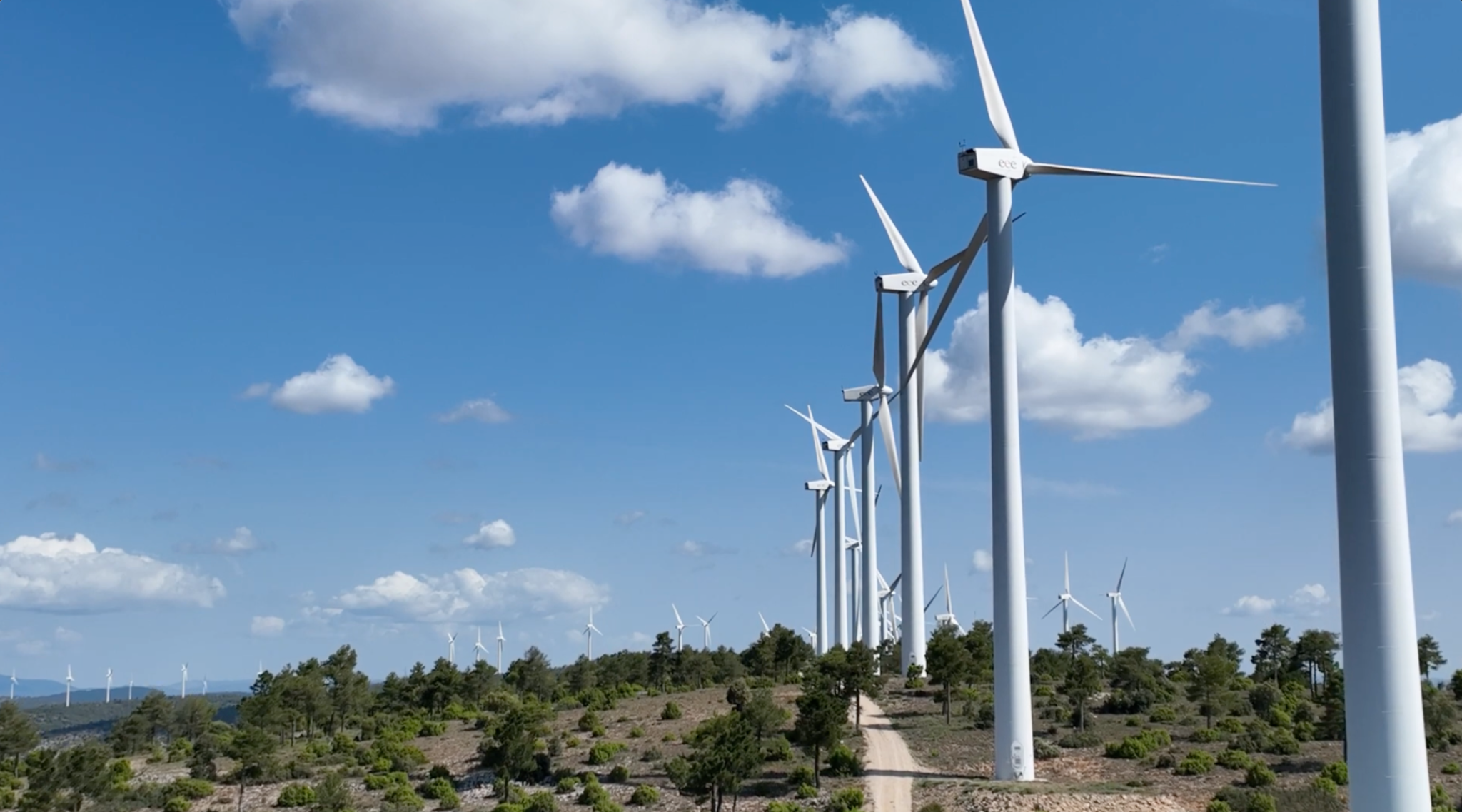 Aerogeneradores en un entorno forestal de la Serranía de Cuenca